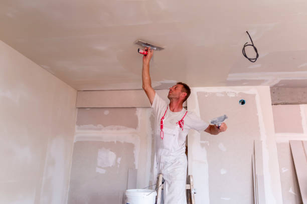 Best Residential Painting  in Quitman, GA